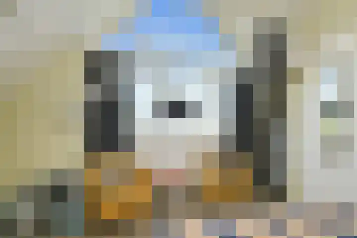 Napoleonsweg 5 Haelen thumbnail 39