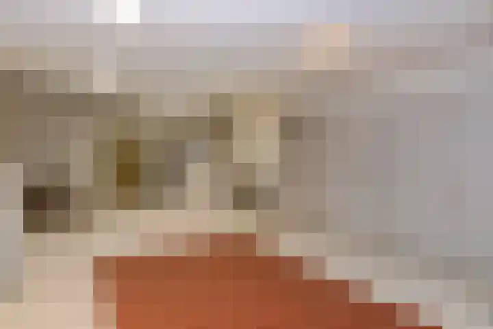 Napoleonsweg 5 Haelen thumbnail 51
