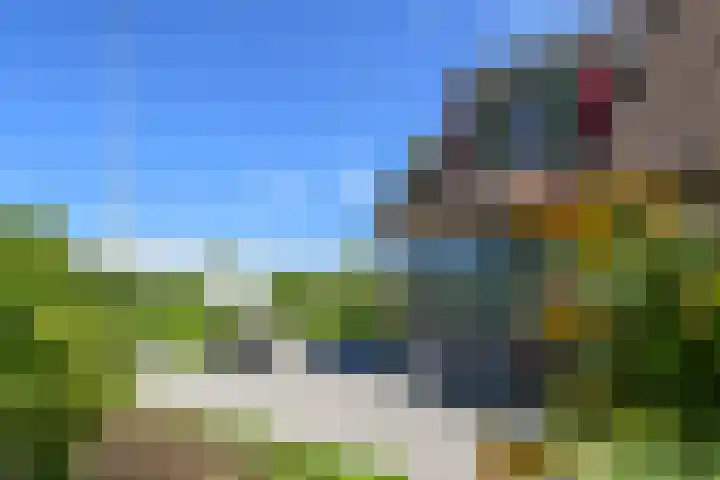 Napoleonsweg 5 Haelen thumbnail 52
