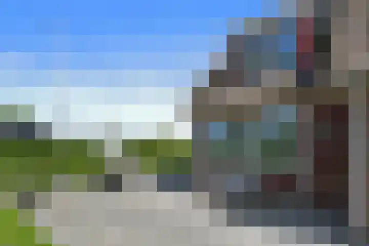 Napoleonsweg 5 Haelen thumbnail 53