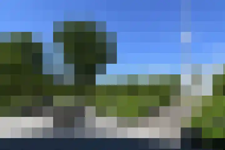 Napoleonsweg 5 Haelen thumbnail 54