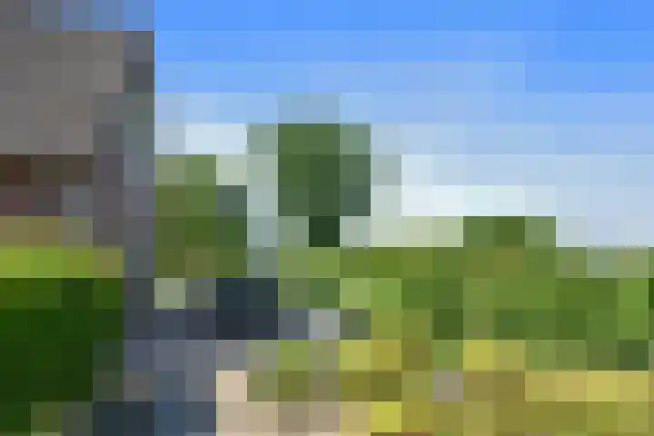 Napoleonsweg 5 Haelen thumbnail 55