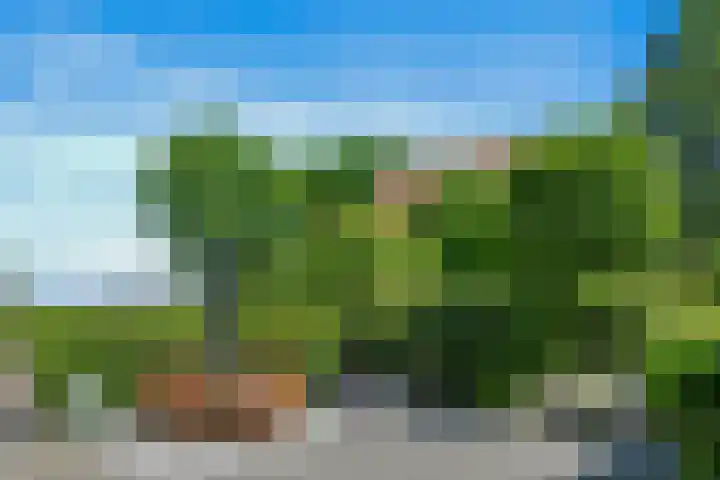 Napoleonsweg 5 Haelen thumbnail 56