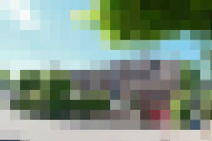 Napoleonsweg 5 Haelen thumbnail 61