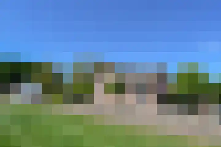 Napoleonsweg 5 Haelen thumbnail 62