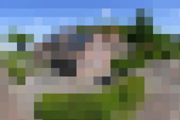 Napoleonsweg 5 Haelen thumbnail 65