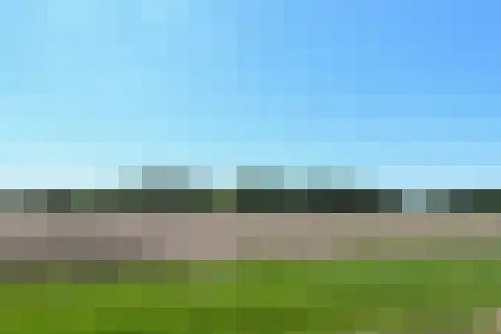 Napoleonsweg 5 Haelen thumbnail 66