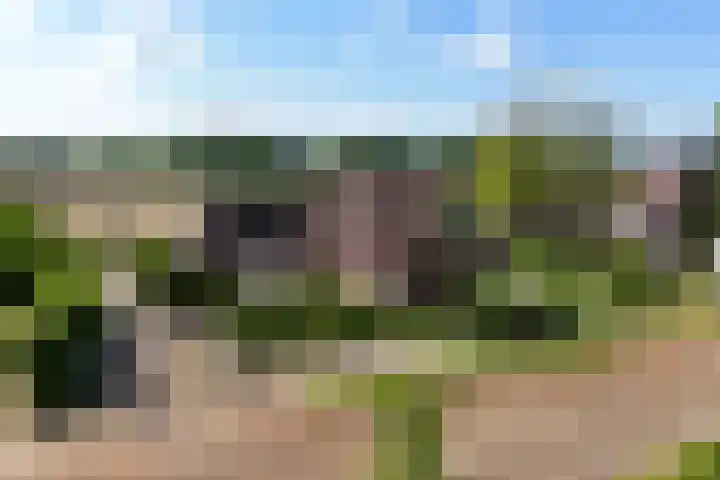 Napoleonsweg 5 Haelen thumbnail 70