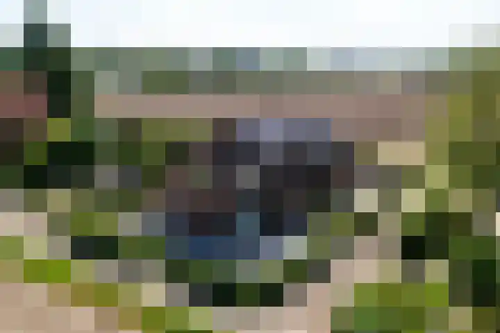 Napoleonsweg 5 Haelen thumbnail 71
