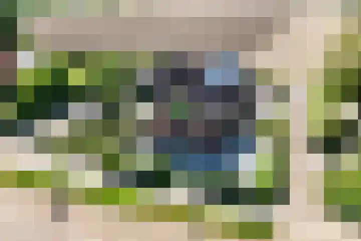 Napoleonsweg 5 Haelen thumbnail 72