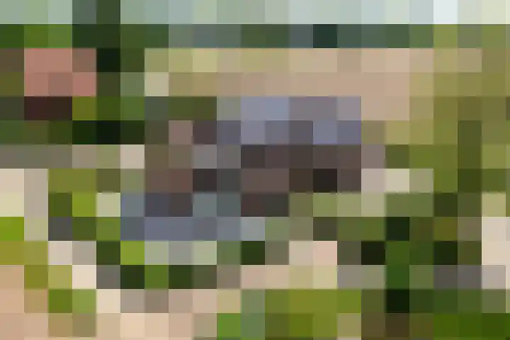 Napoleonsweg 5 Haelen thumbnail 73