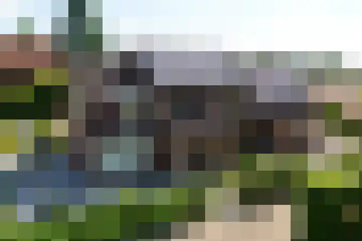 Napoleonsweg 5 Haelen thumbnail 74