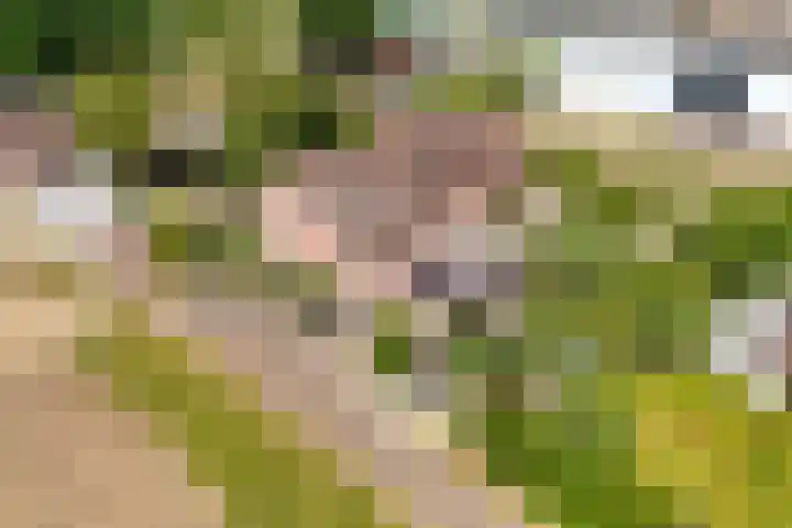 Napoleonsweg 5 Haelen thumbnail 77