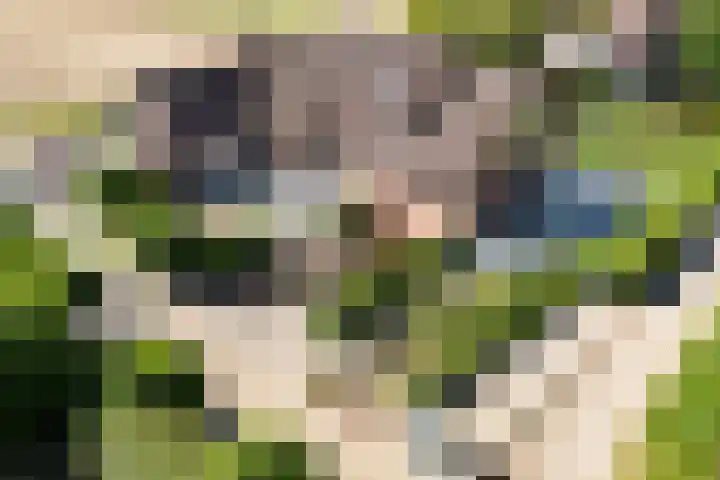 Napoleonsweg 5 Haelen thumbnail 78
