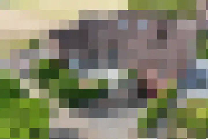 Napoleonsweg 5 Haelen thumbnail 79