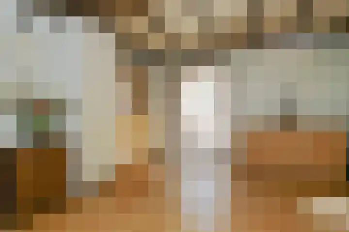 Napoleonsweg 5 Haelen thumbnail 9