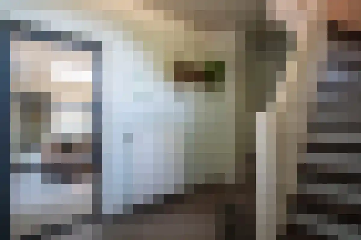 Napoleonsweg 75 Haelen thumbnail 10