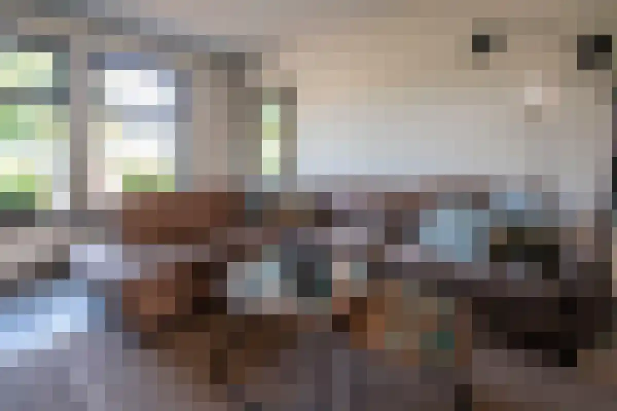 Napoleonsweg 75 Haelen thumbnail 16