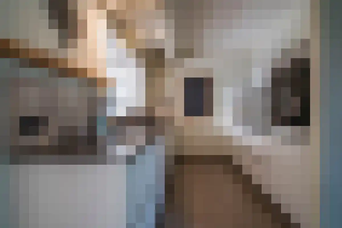 Napoleonsweg 75 Haelen thumbnail 19
