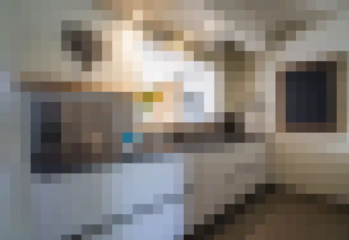 Napoleonsweg 75 Haelen thumbnail 20