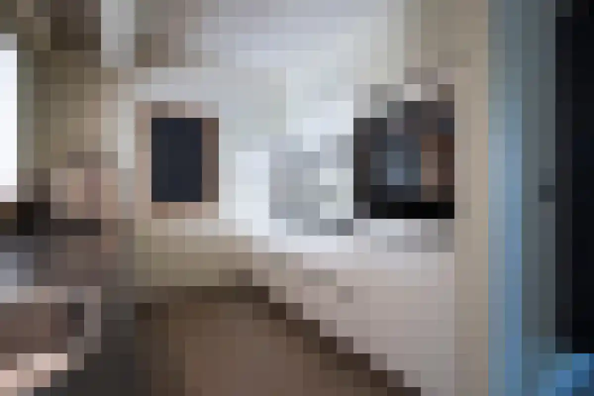 Napoleonsweg 75 Haelen thumbnail 22