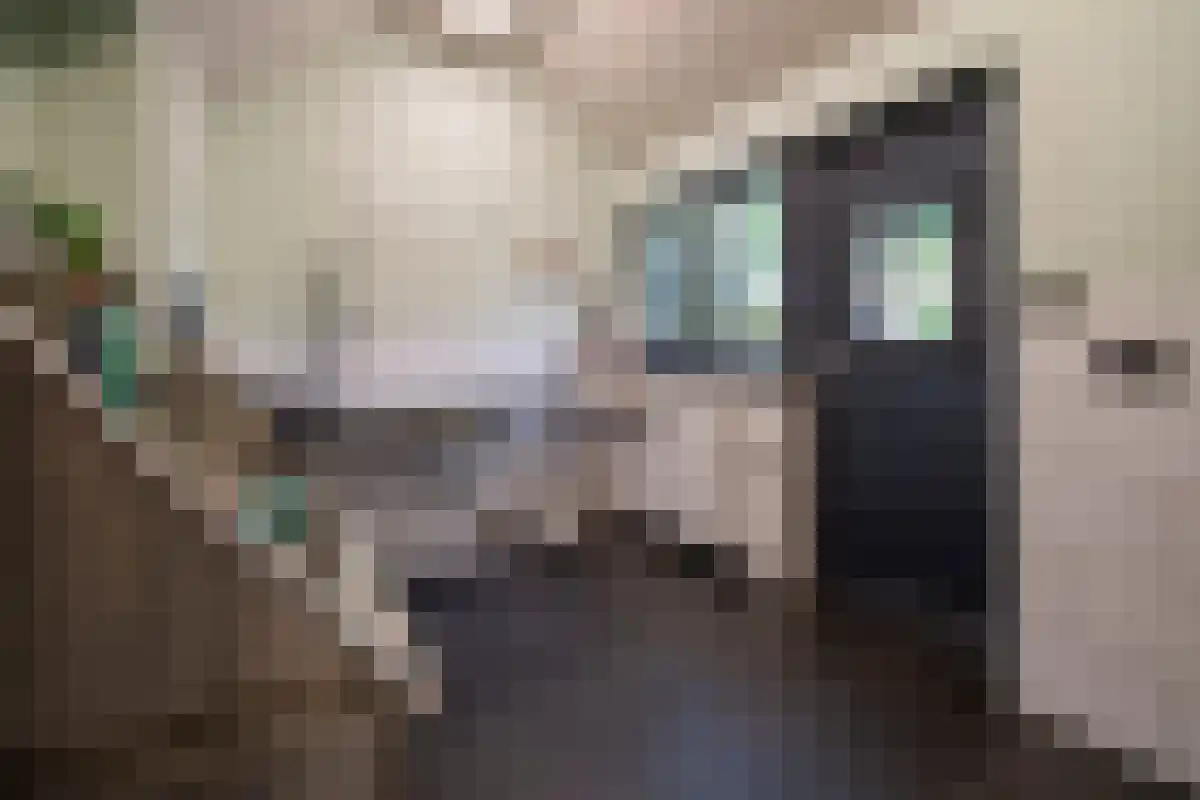 Napoleonsweg 75 Haelen thumbnail 29