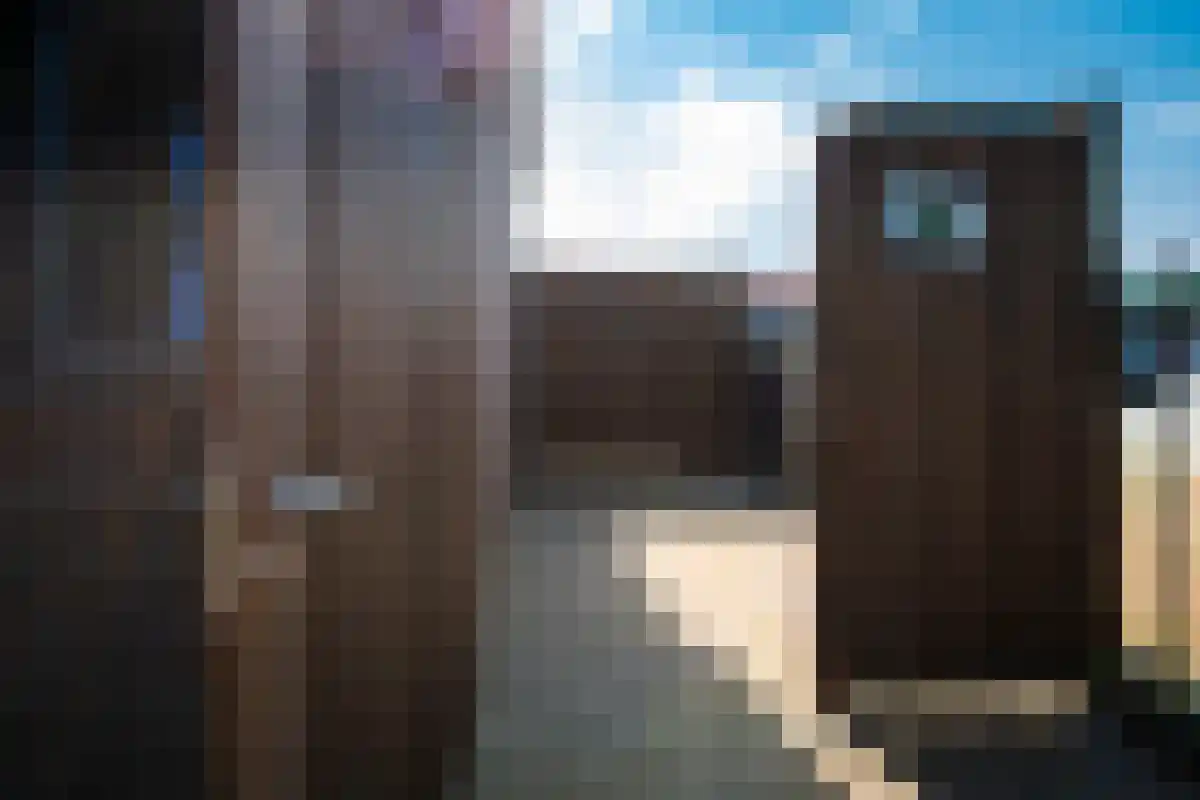 Napoleonsweg 75 Haelen thumbnail 35