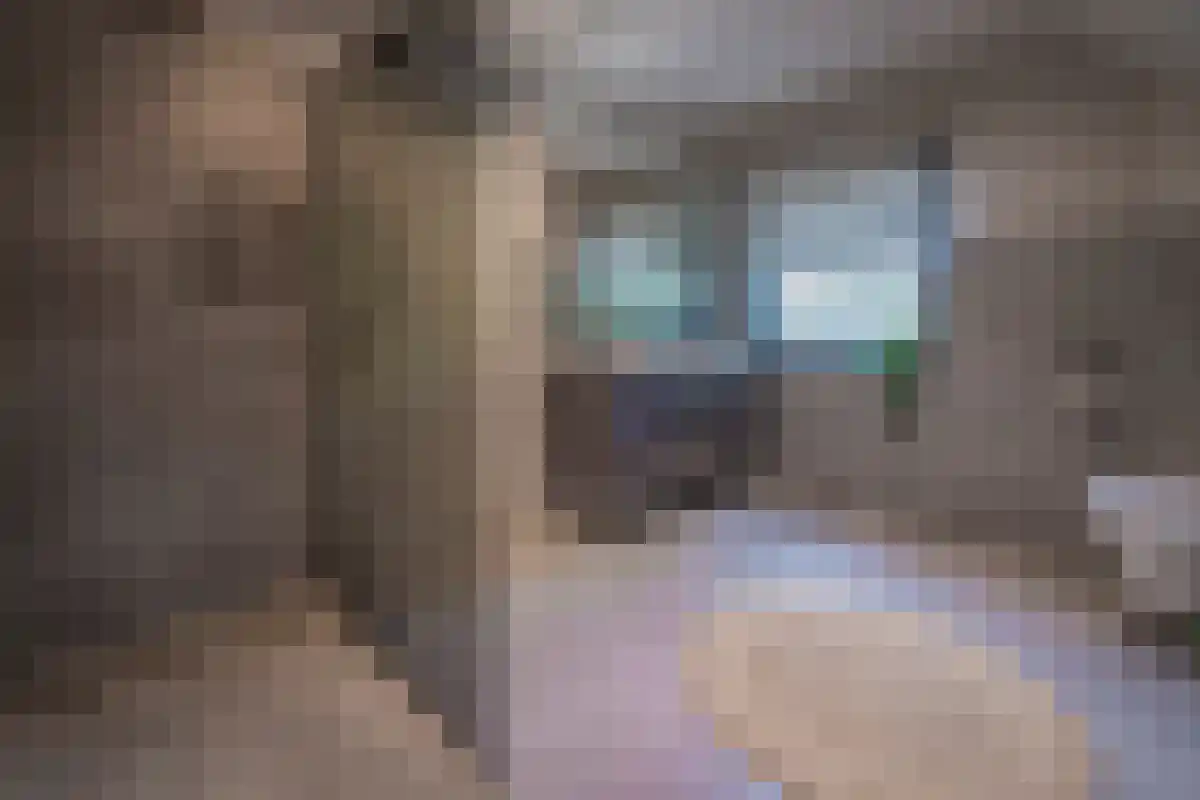 Napoleonsweg 75 Haelen thumbnail 4