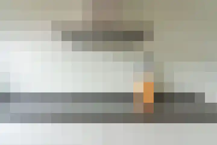 Narcis 1 Voorhout thumbnail 10