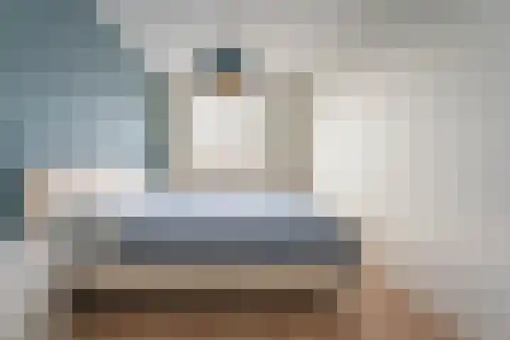 Narcis 1 Voorhout thumbnail 18