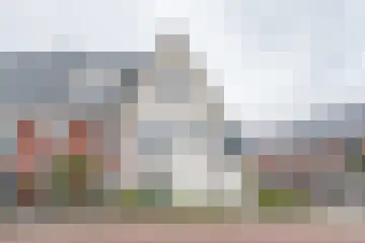 Narcis 1 Voorhout foto 2