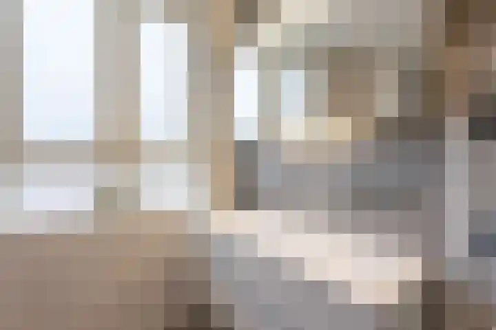 Narcis 1 Voorhout thumbnail 23