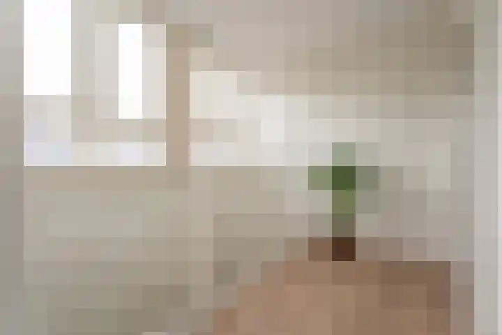 Narcis 1 Voorhout thumbnail 31