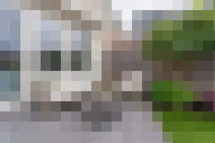 Narcis 1 Voorhout thumbnail 34