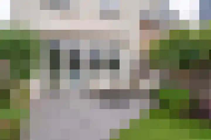 Narcis 1 Voorhout thumbnail 36