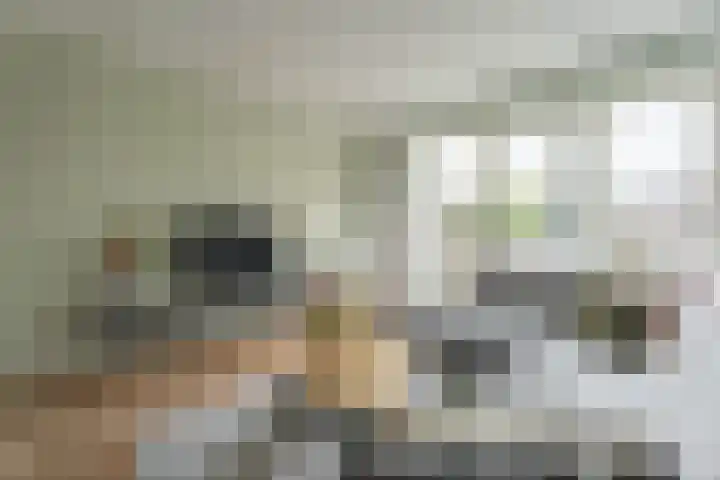 Narcis 1 Voorhout thumbnail 6