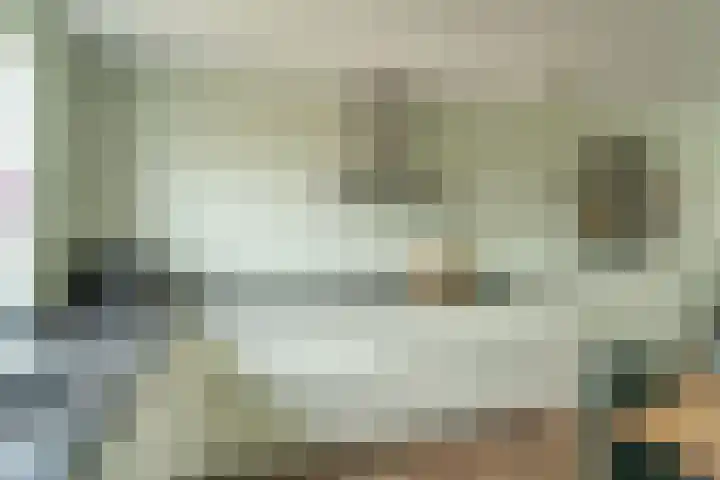 Narcis 1 Voorhout thumbnail 9