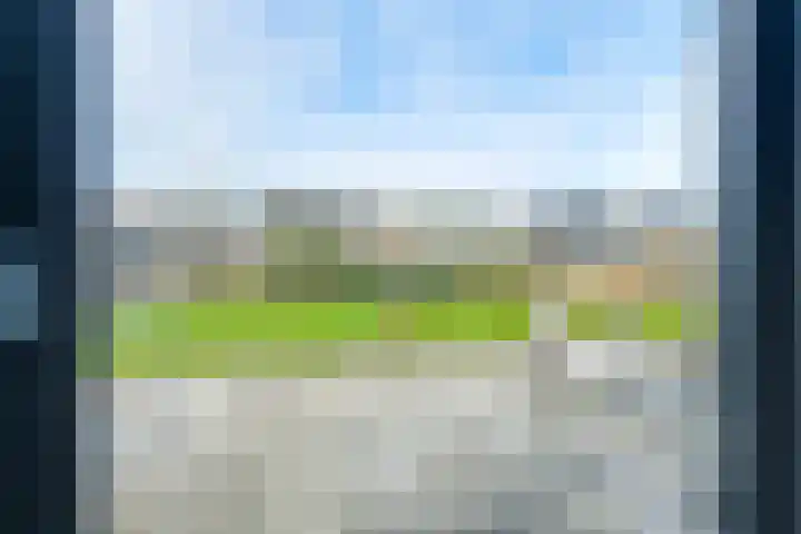 Narcis 10 Andijk thumbnail 25