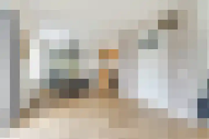 Narcis 10 Andijk thumbnail 26