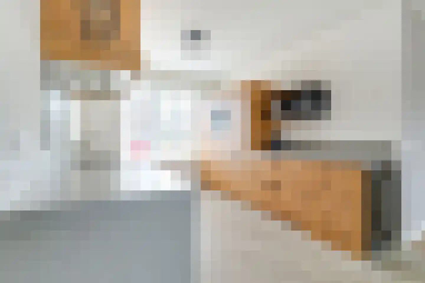 Narcis 10 Andijk thumbnail 31