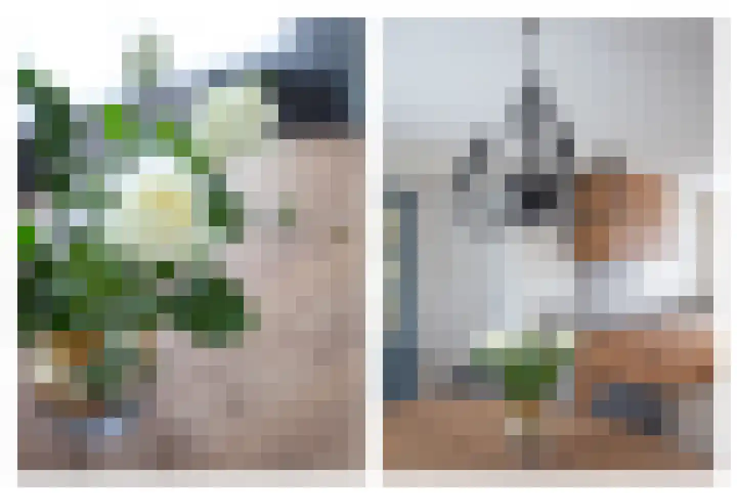 Narcis 10 Andijk thumbnail 34
