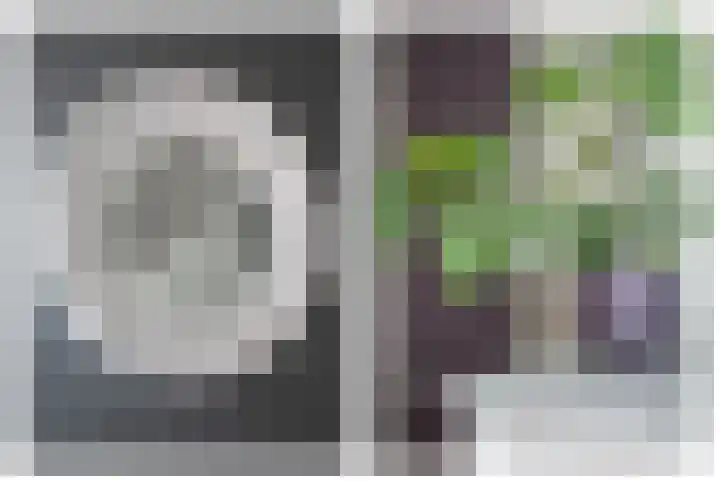 Narcis 10 Andijk thumbnail 35