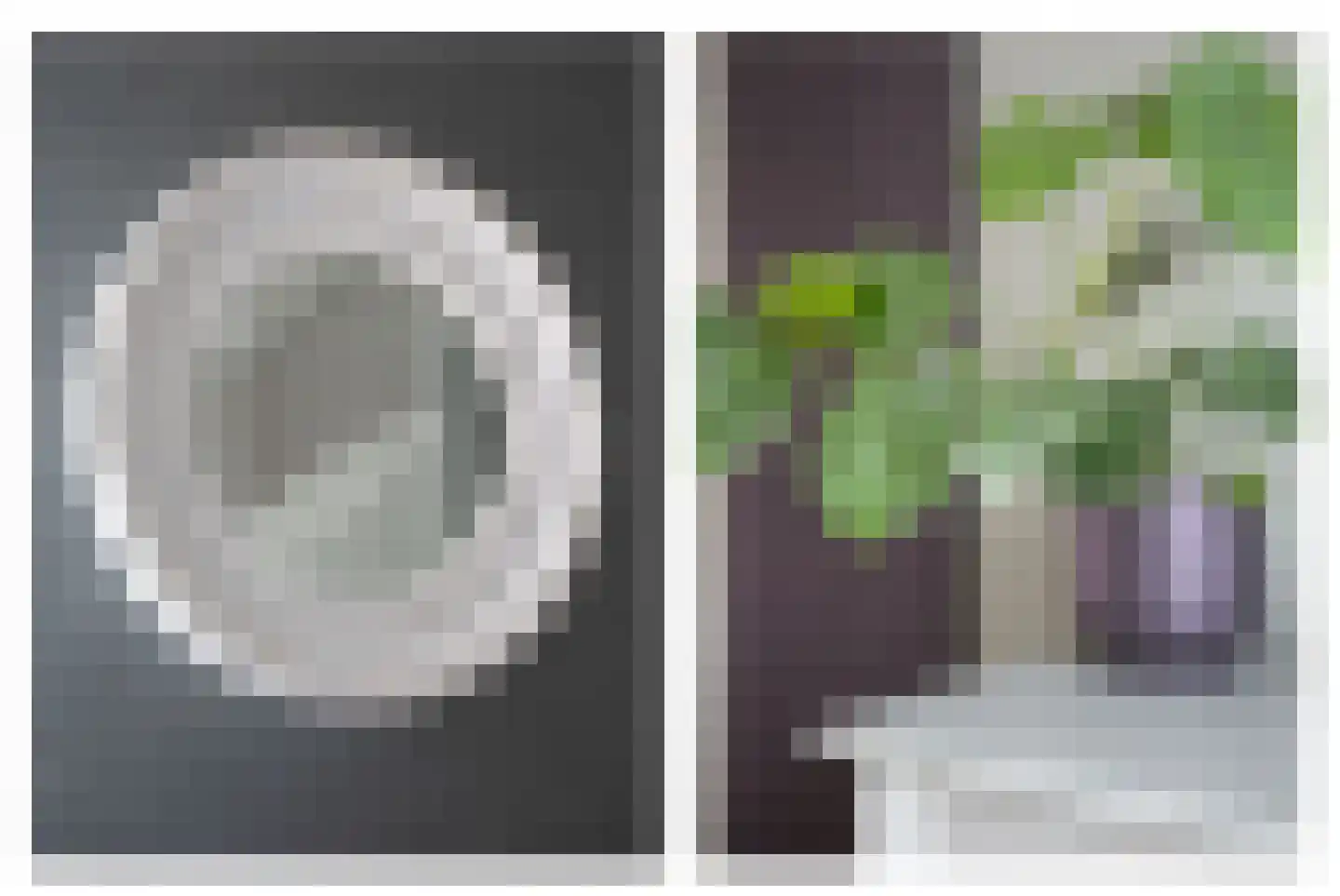 Narcis 10 Andijk thumbnail 36