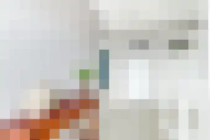 Narcis 10 Andijk thumbnail 38