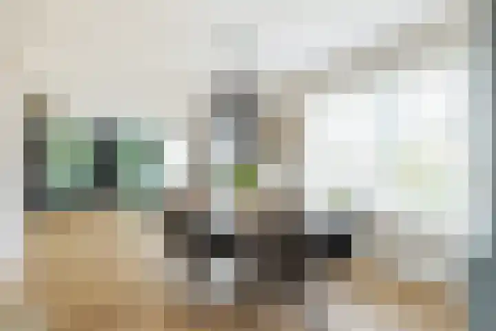 Narcis 10 Andijk thumbnail 4