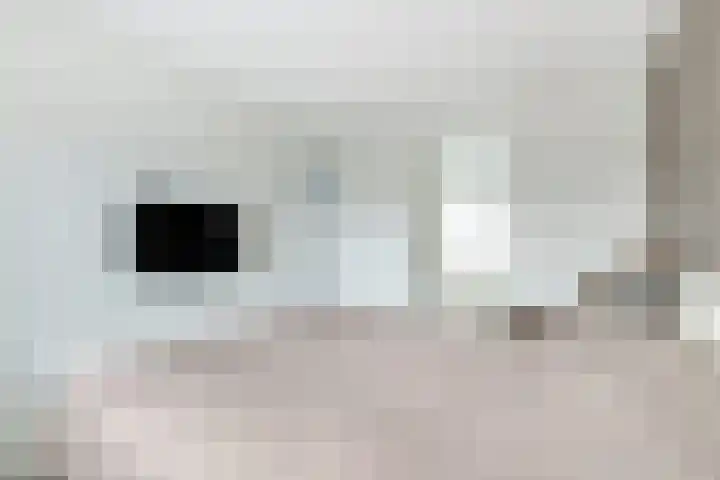 Narcis 10 Andijk thumbnail 43