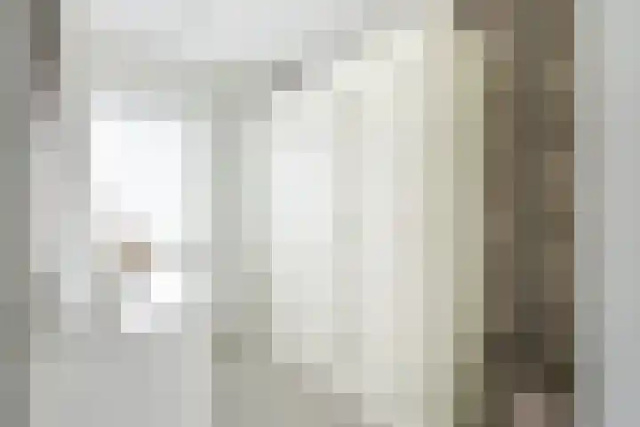 Narcis 10 Andijk thumbnail 44