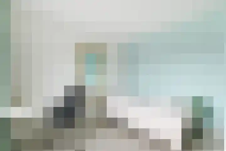 Narcis 10 Andijk thumbnail 52