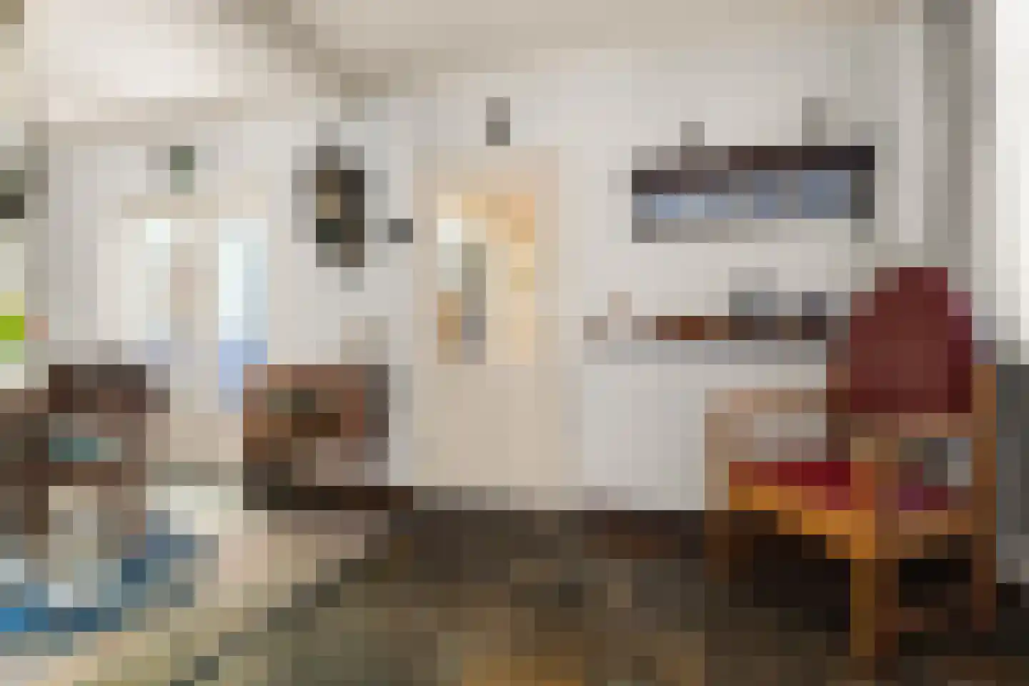 Narcis 10 Andijk thumbnail 56