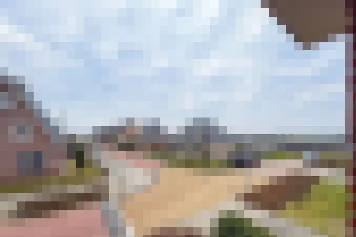 Narcis 10 Andijk thumbnail 56